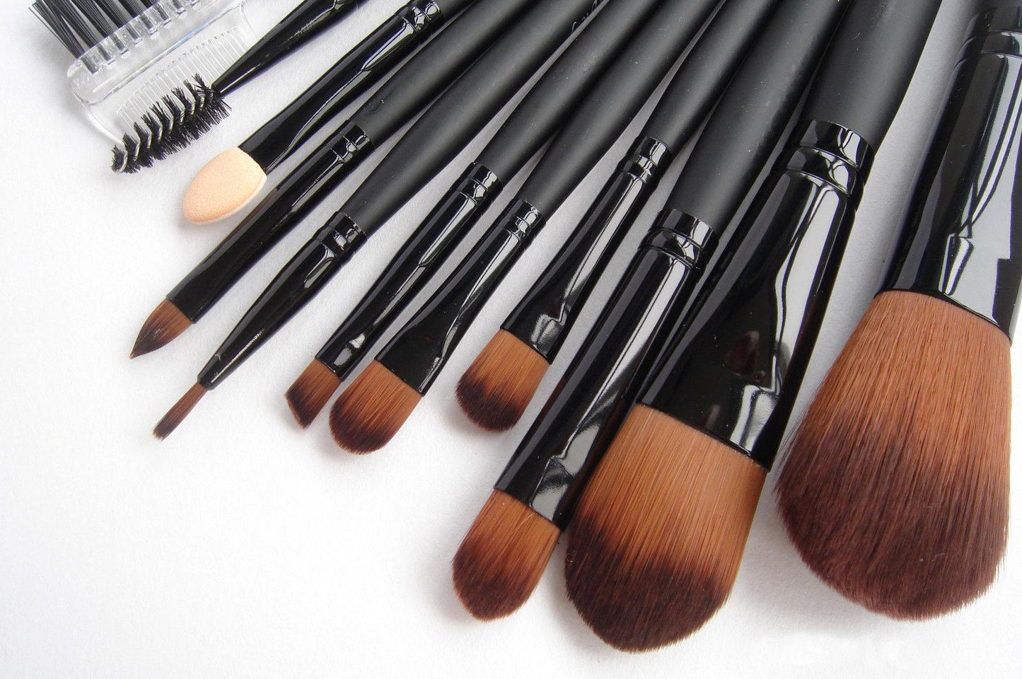 LyDia Black Makeup Brush Set with Case - Iconic and class